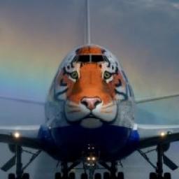  Телеграмм канал &laquo;aviasale&raquo; 