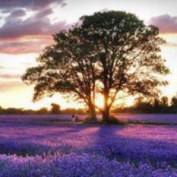  Телеграмм канал &laquo;Nature 
