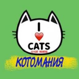  Телеграмм канал &laquo;Котомания&raquo; 