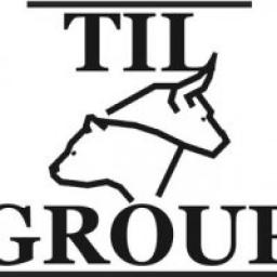  Телеграмм канал &laquo;TIL Group | Трейдинг, Инвестиции, Обучение&raquo; 