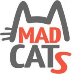  Телеграмм канал &laquo;Котики MADCATS.RU&raquo; 