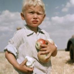  Телеграмм канал &laquo;Пресс-служба Яблока&raquo; 