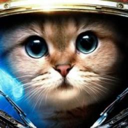  Телеграмм канал &laquo;Котейка с планеты Айур&raquo; 