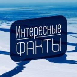  Телеграмм канал &laquo;Интересные Факты&raquo; 