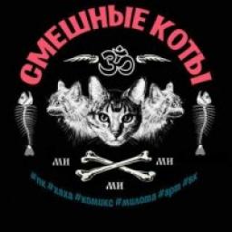  Телеграмм канал &laquo;-ॐ☭* Смешные коты *☭ॐ-&raquo; 