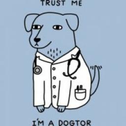  Телеграмм канал &laquo;Trust me, I'm a dogtor&raquo; 