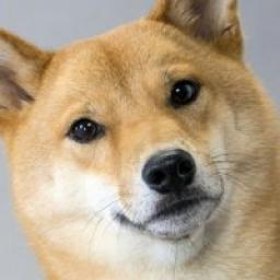  Телеграмм канал &laquo;Science Doge&raquo; 