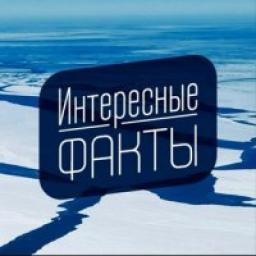  Телеграмм канал &laquo;Интересные факты&raquo; 