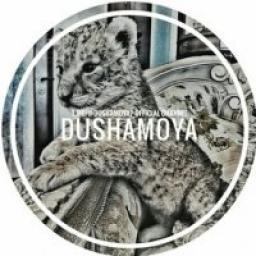  Телеграмм канал &laquo;⚜D̷u̷s̷h̷a̷M̷o̷y̷a̷ヅ⚜&raquo; 