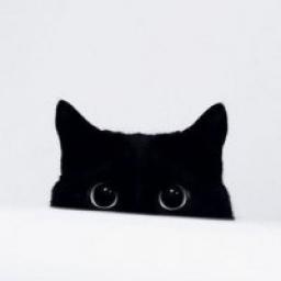  Телеграмм канал &laquo;___〆(・&forall;・)&raquo; 