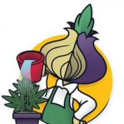  Телеграмм канал &laquo;Chipollino Grow Club&raquo; 