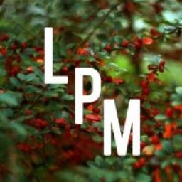  Телеграмм канал &laquo;Лешка, пикчи, микроблог!&raquo; 