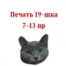  Телеграмм канал &laquo;Печатаем вместе(7-13пр)&raquo; 