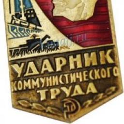 Телеграмм канал &laquo;Пустошей Ударник&raquo;