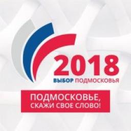 Телеграмм канал &laquo;ВыборыМО&raquo;