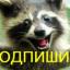  Телеграмм канал &laquo;Юмор и Позитив&raquo; 