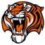  Телеграмм канал &laquo;Tiger Bet LIVE+&raquo; 