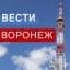 Телеграмм канал «Вести-Воронеж» Телеграмм канал «Вести-Воронеж»