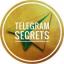 Телеграмм канал «Telegram Secrets» Телеграмм канал «Telegram Secrets»