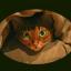  Телеграмм канал &laquo;Superaby абиссинские кошки коты котята / Abyssinian cats&raquo; 